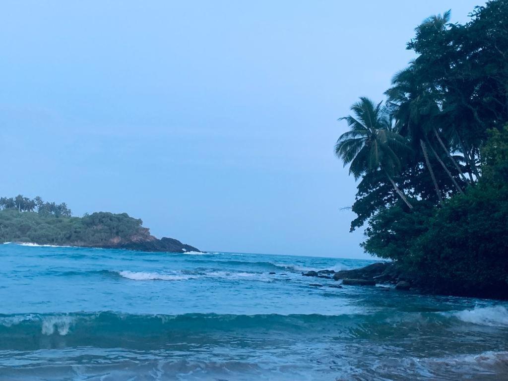 Surf Villa Hiriketiya マータラ エクステリア 写真
