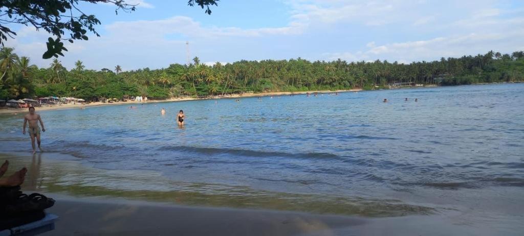 Surf Villa Hiriketiya マータラ エクステリア 写真